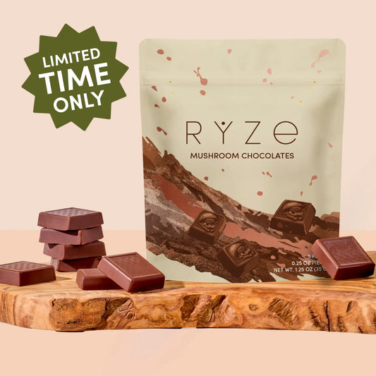 Mushroom Chocolates Rye (15 pieces) Choice M047-144