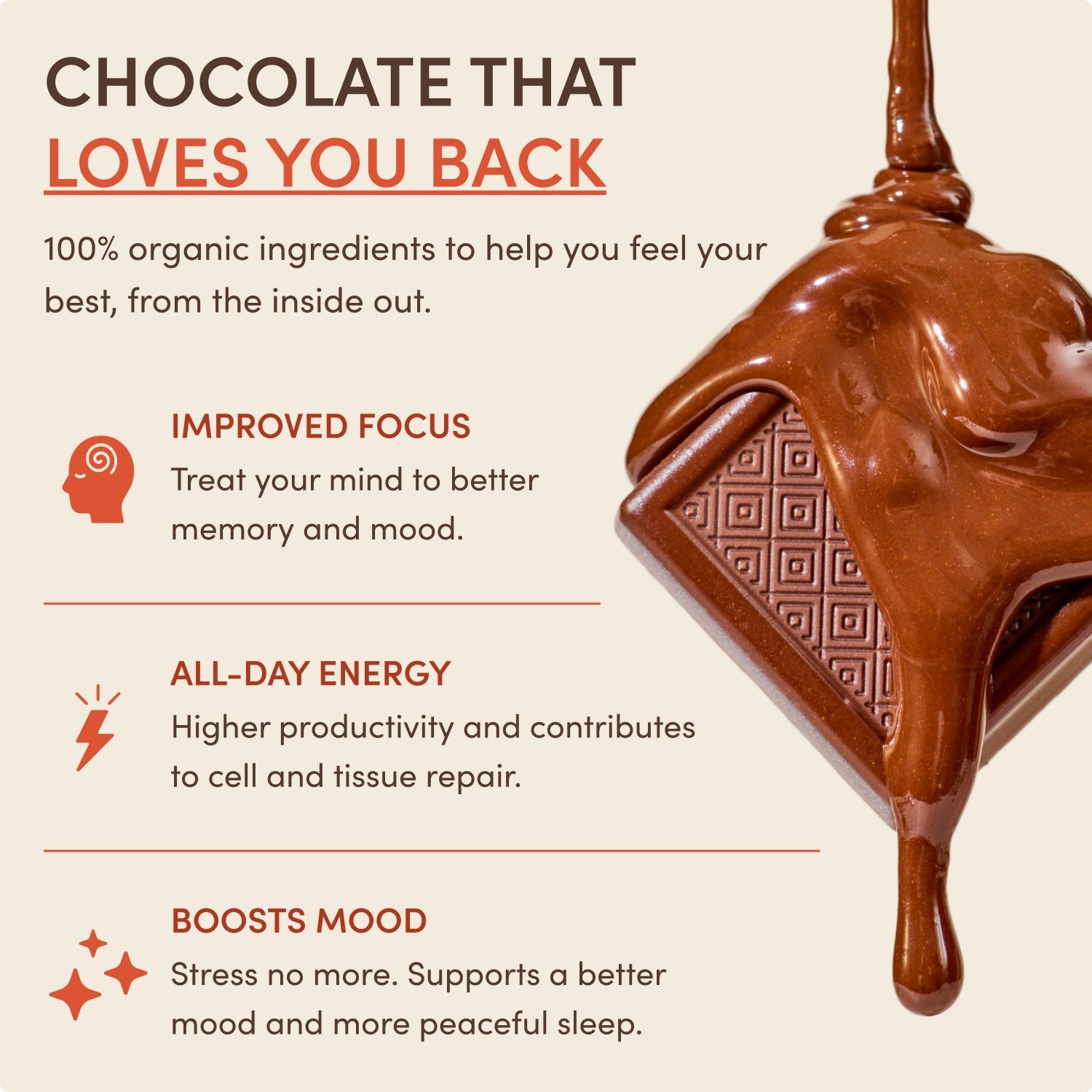 Chocolate Indulgence Bundle Daily M047-195