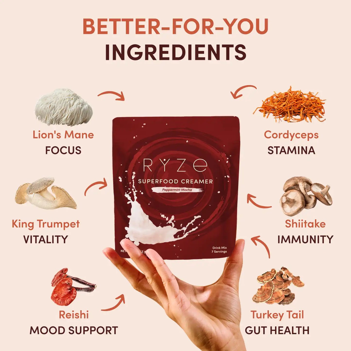 Peppermint Mocha Creamer Add-On (SPECIAL PRICING) Bright M047-084