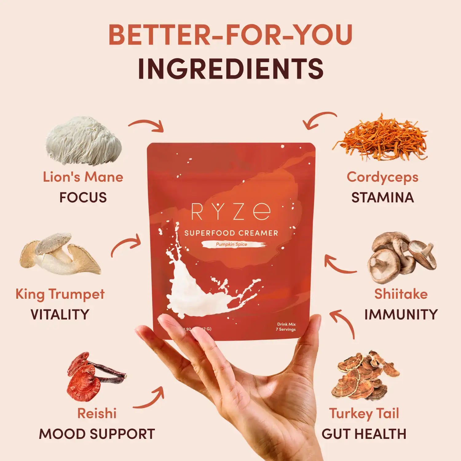 Pumpkin Spice Superfood Creamer Add-On (SPECIAL PRICING) Smooth M047-082