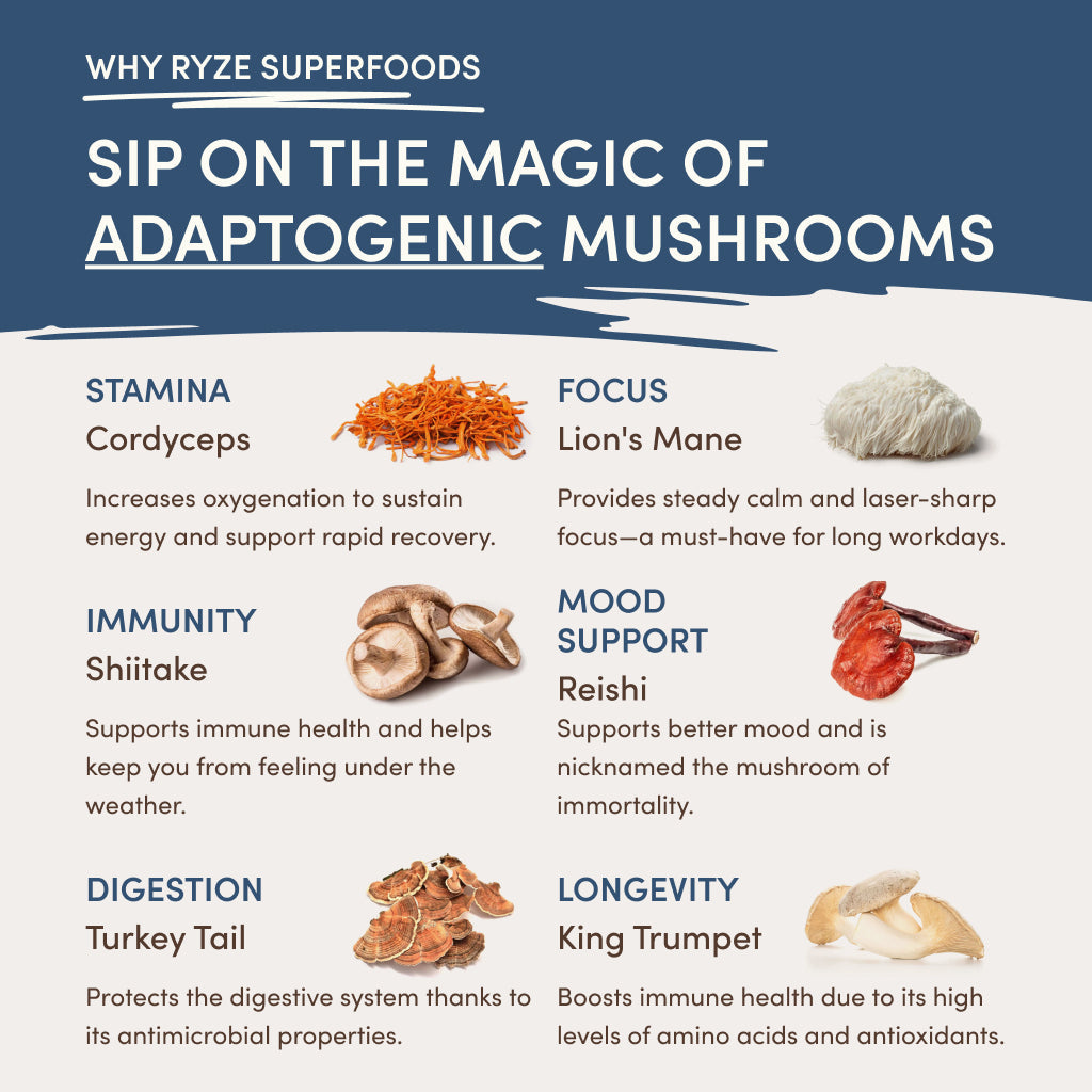 RYZE Nighttime Mushroom Cocoa Starter Bag Smooth M047-201