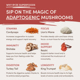 RYZE Mushroom Chai Starter Bag Select M047-196