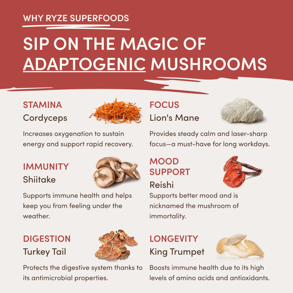 RYZE Mushroom Chai Starter Bag Select M047-196