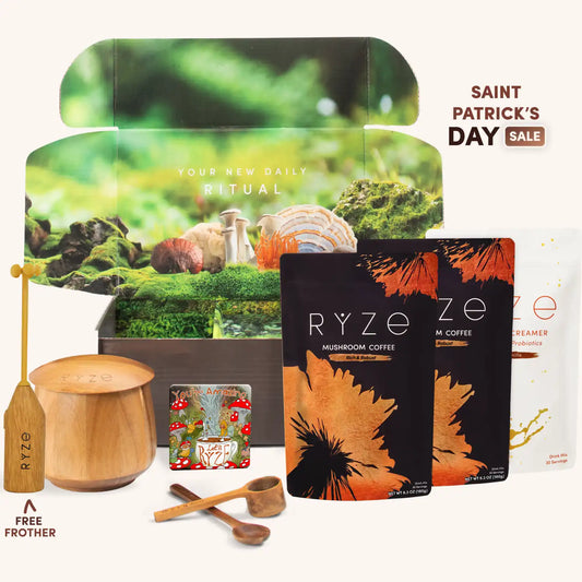 Mushroom Coffee Ritual Set Daily M047-113