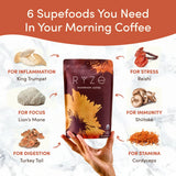 Mushroom Coffee (1 pack - 30 Servings) Choice M047-133