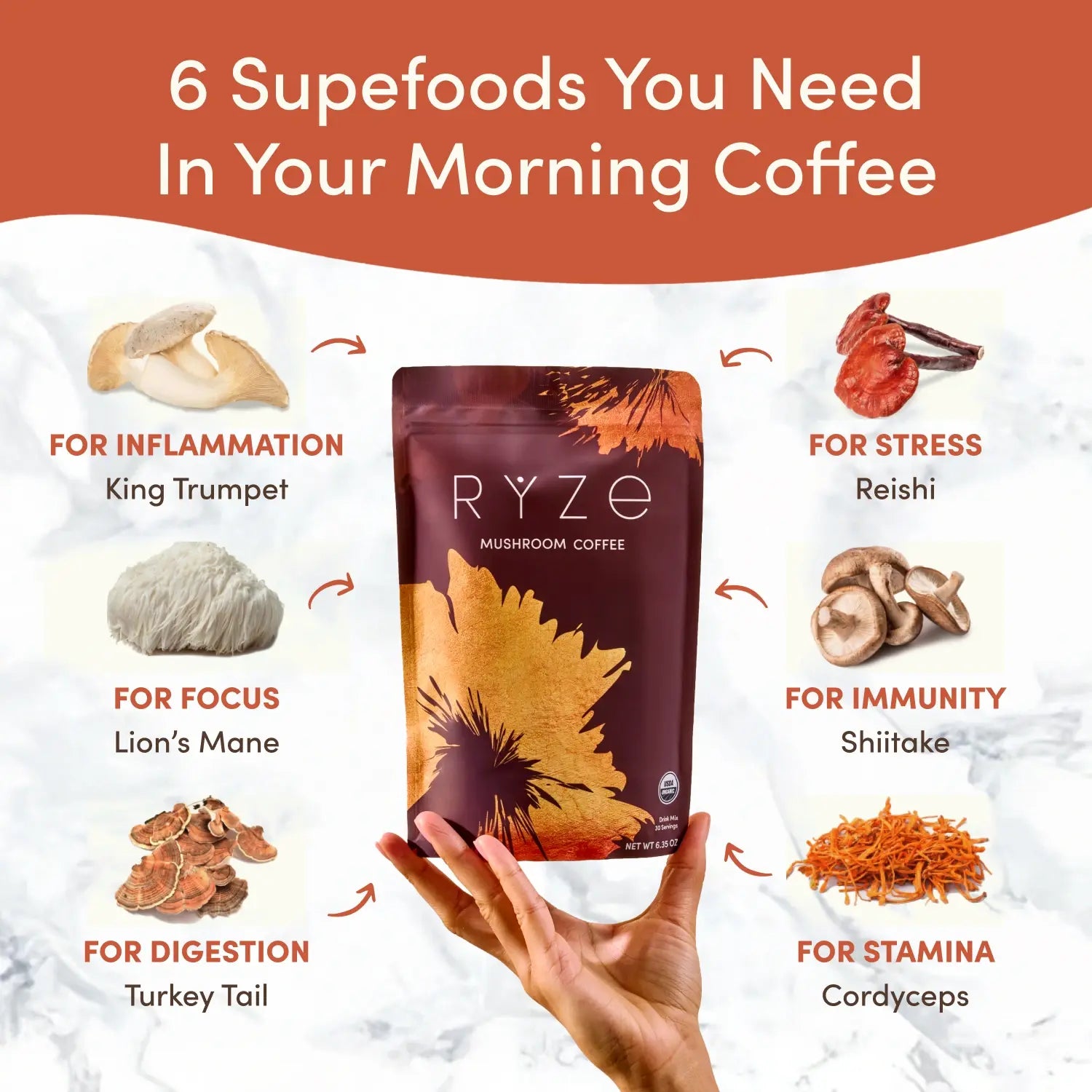 Mushroom Coffee (1 pack - 30 Servings) Choice M047-133