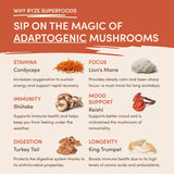 Mushroom Coffee (1 pack - 30 Servings) Choice M047-133