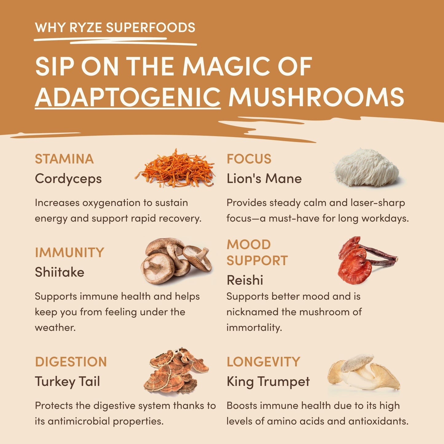 Mushroom Overnight Oats (14 Servings) Bright M047-091