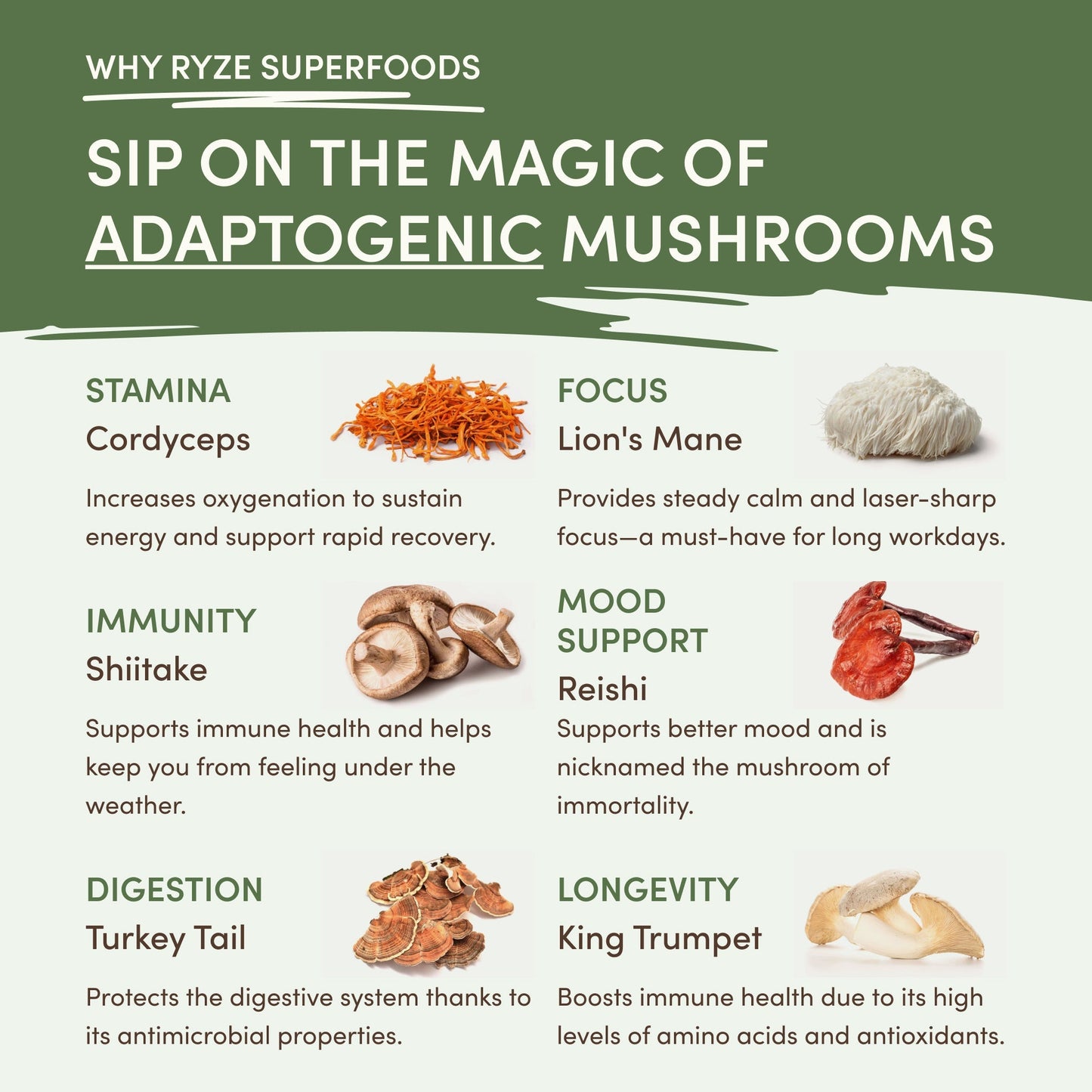Mushroom Matcha (1 Pack - 30 Servings) Essential M047-099