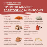 Mushroom Chai (20 Servings) Daily M047-163