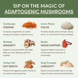 Mushroom Matcha (30 Servings) Essential M047-059