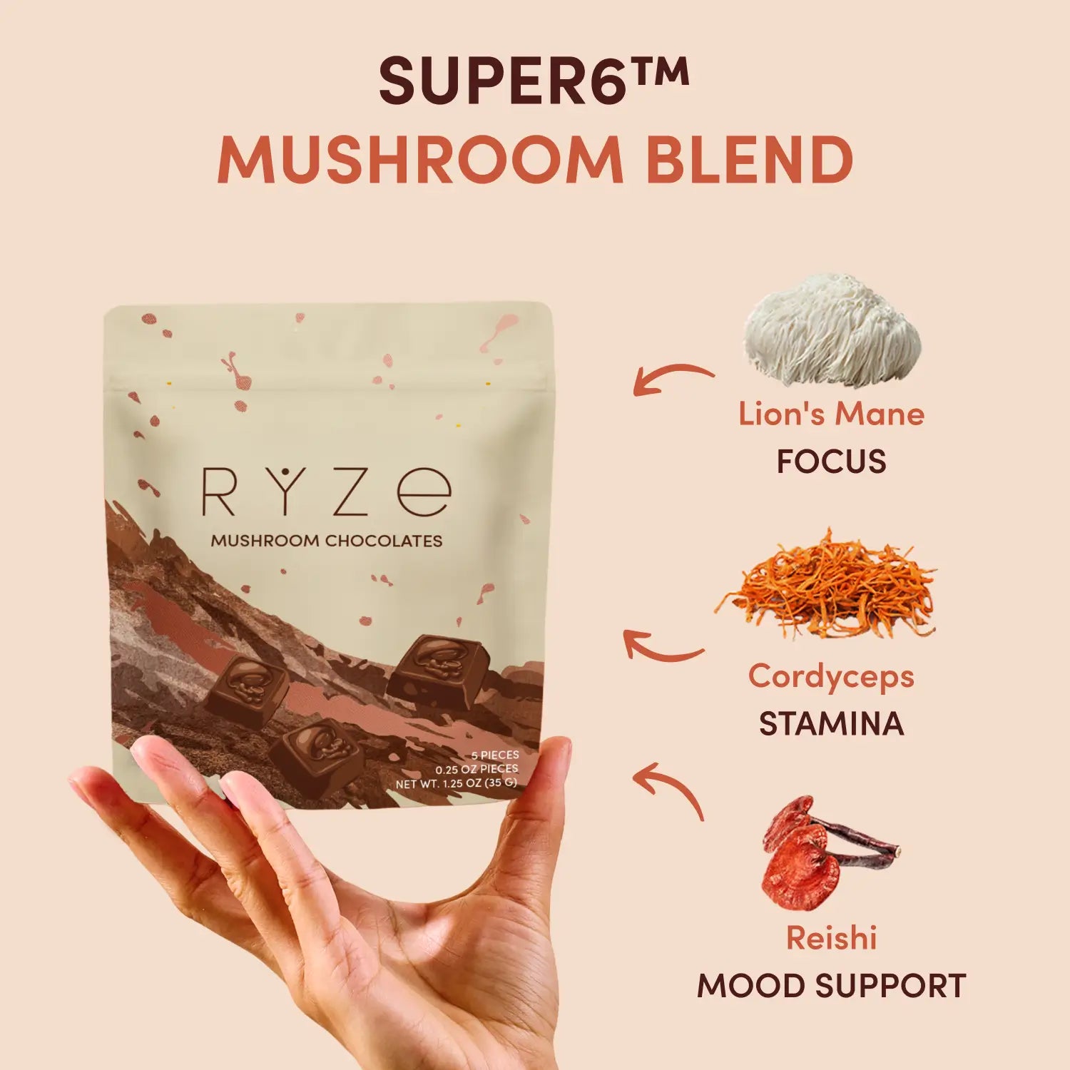 Mushroom Chocolates Rye (15 pieces) Choice M047-144