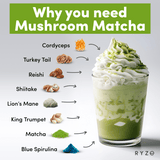 RYZE Mushroom Matcha - with 6 Organic Adaptogenic Mushrooms Grown In USA and Ceremonial-Grade Japanese Matcha Classic M047-094