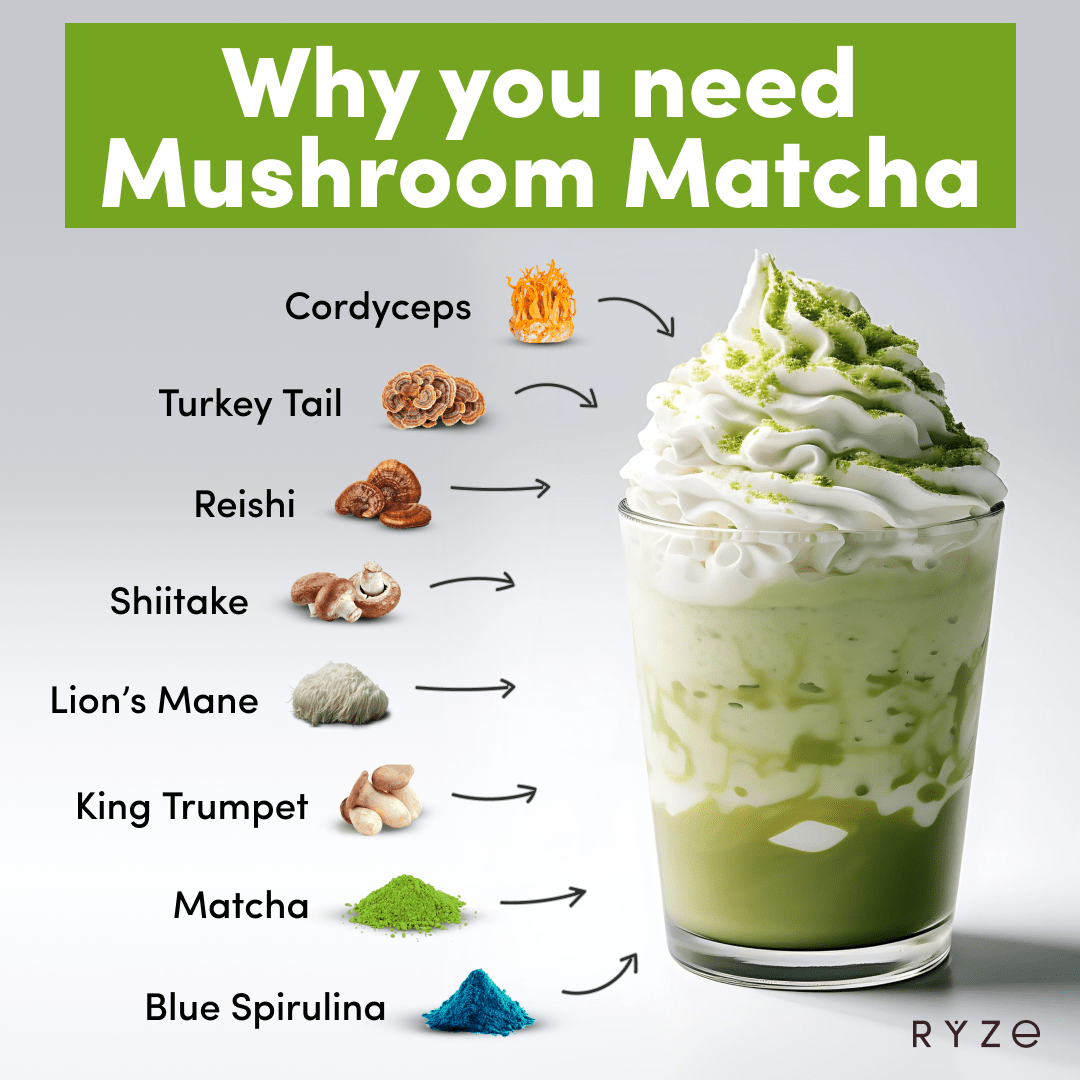 RYZE Mushroom Matcha - with 6 Organic Adaptogenic Mushrooms Grown In USA and Ceremonial-Grade Japanese Matcha Classic M047-094
