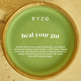 RYZE Mushroom Matcha - with 6 Organic Adaptogenic Mushrooms Grown In USA and Ceremonial-Grade Japanese Matcha Classic M047-094